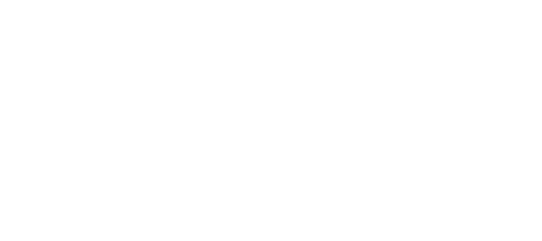 THE LEELA PROJECT