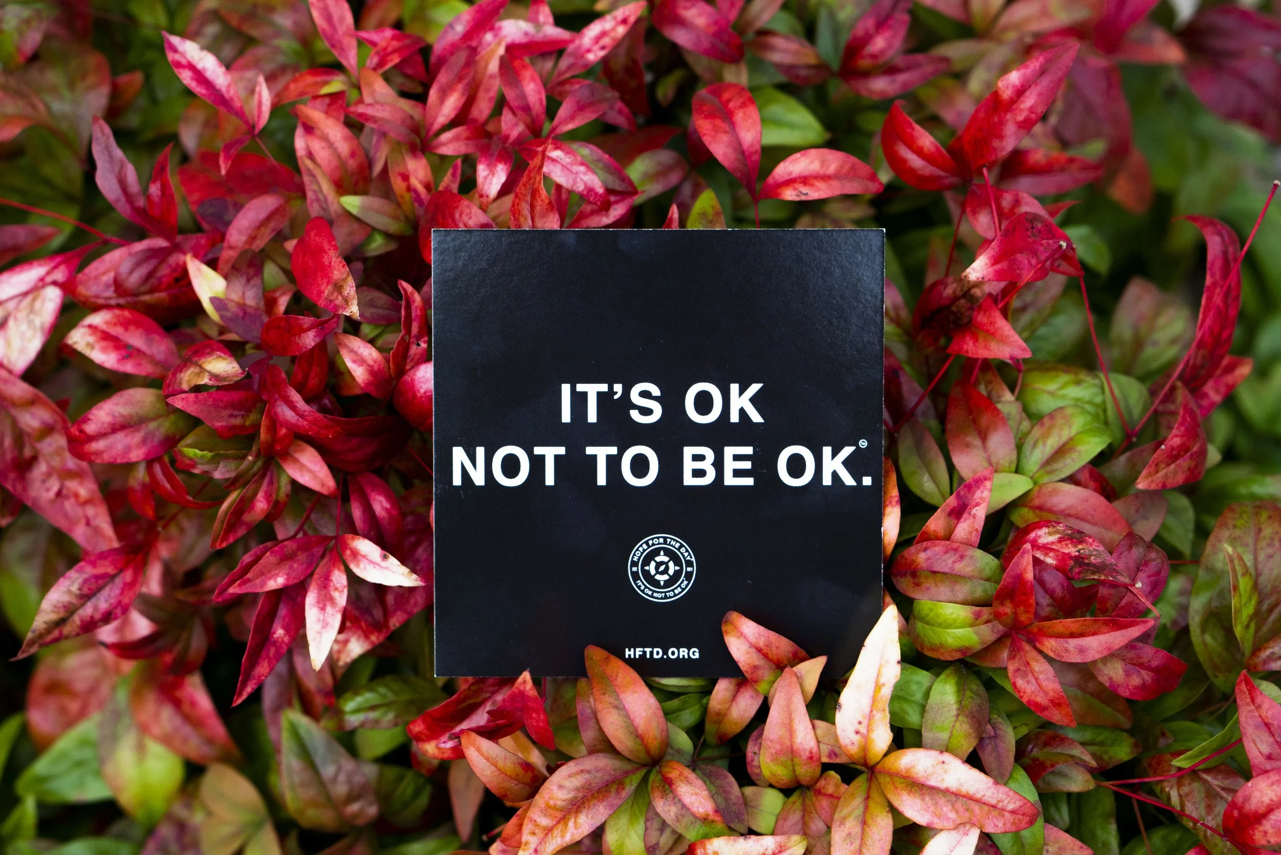 It's OK If It's Hard to Be Thankful This Thanksgiving