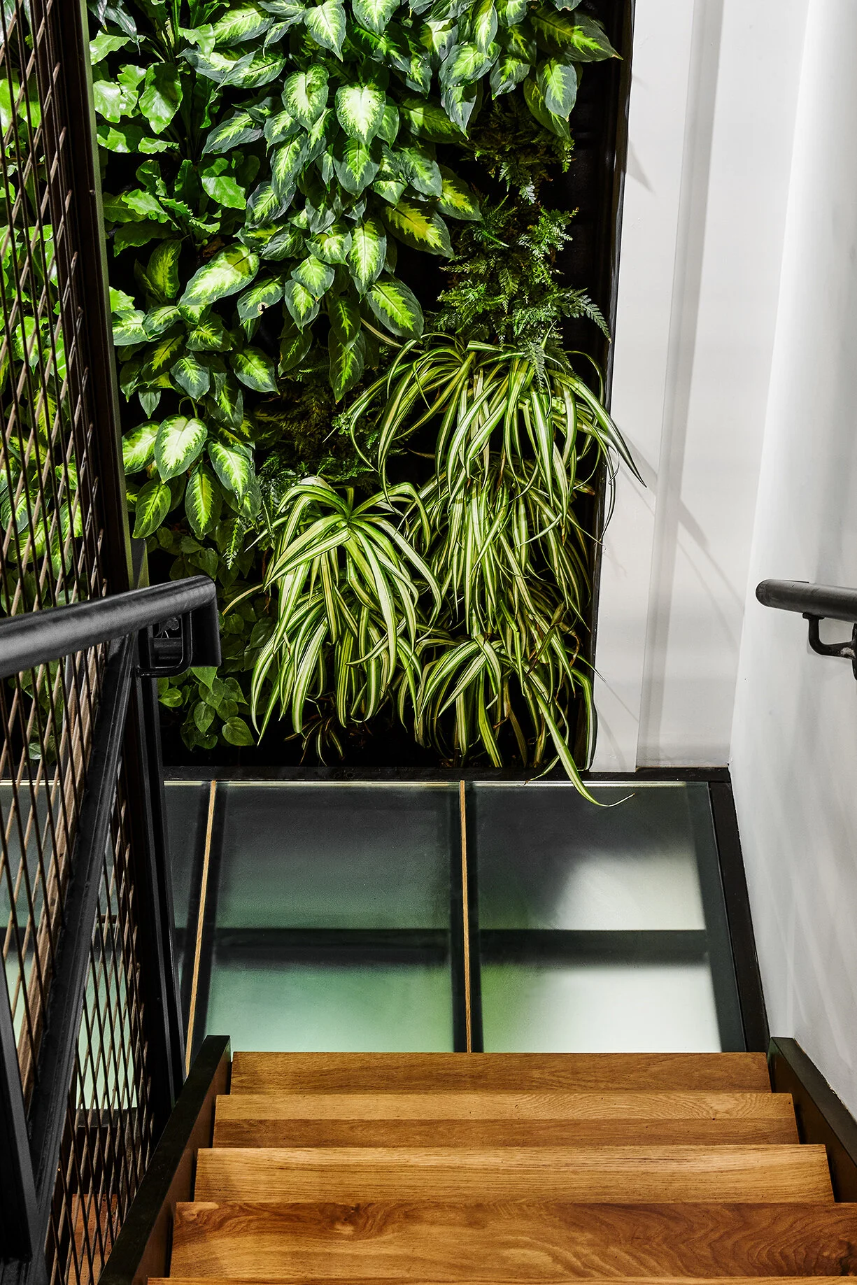 190115_LokalHotel_Fishtown-37.jpg