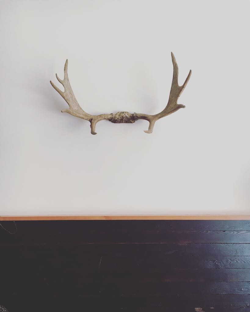 Tune in, Your Fall Hygge Playlist is Here