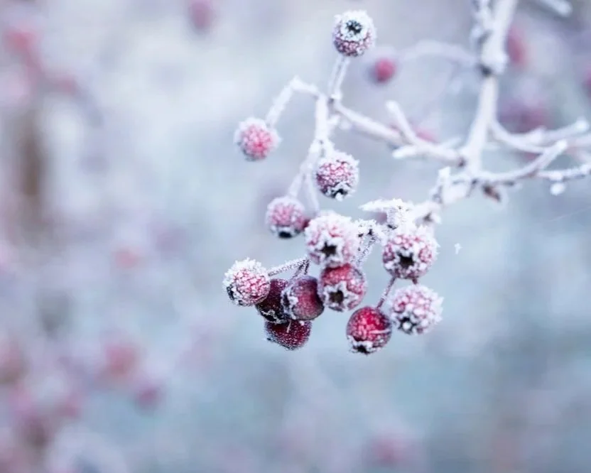 Winter Small Group Schedule