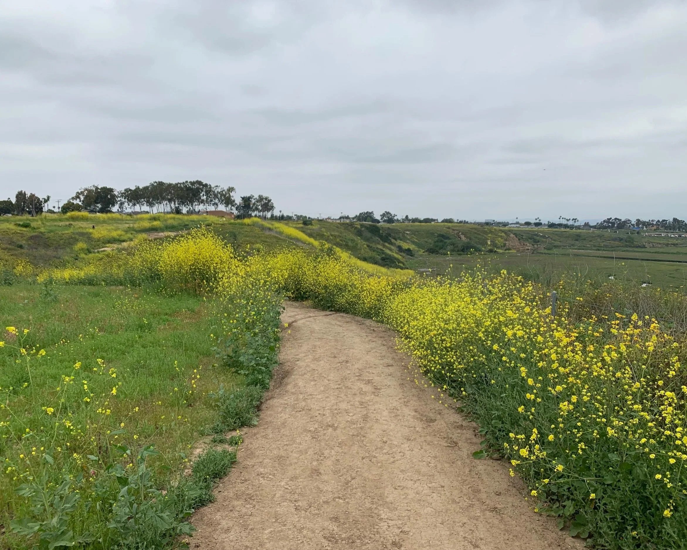 Back Bay Walking Club for Women