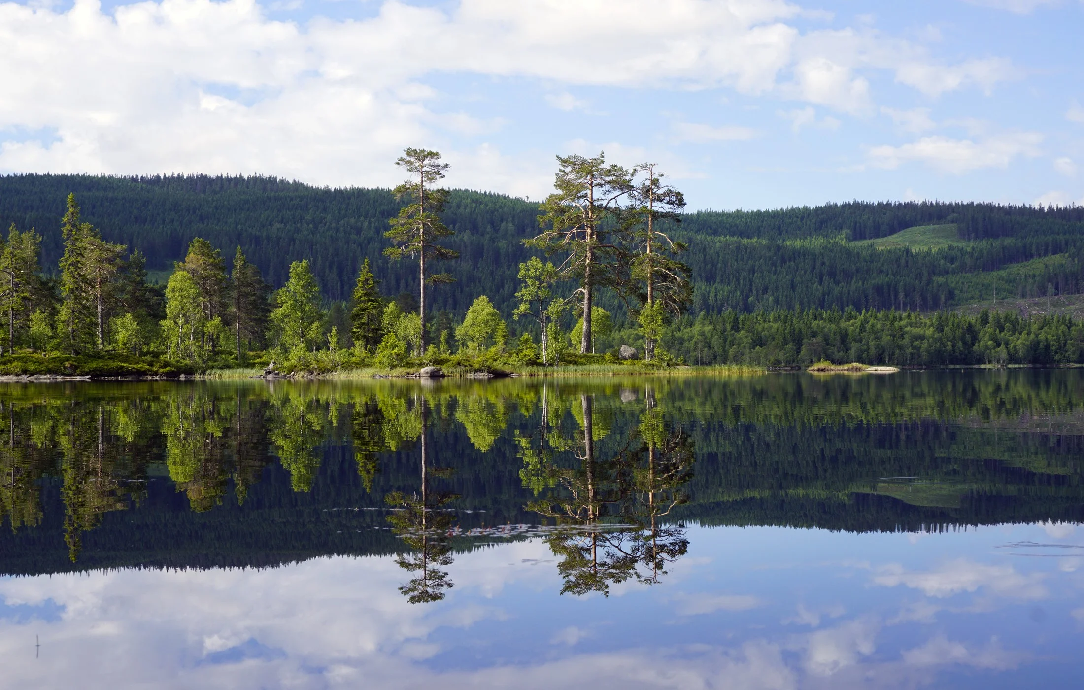 Lake Vesleflåtan at Krokskogen (Photo: VisitOslo/Tord Baklund))