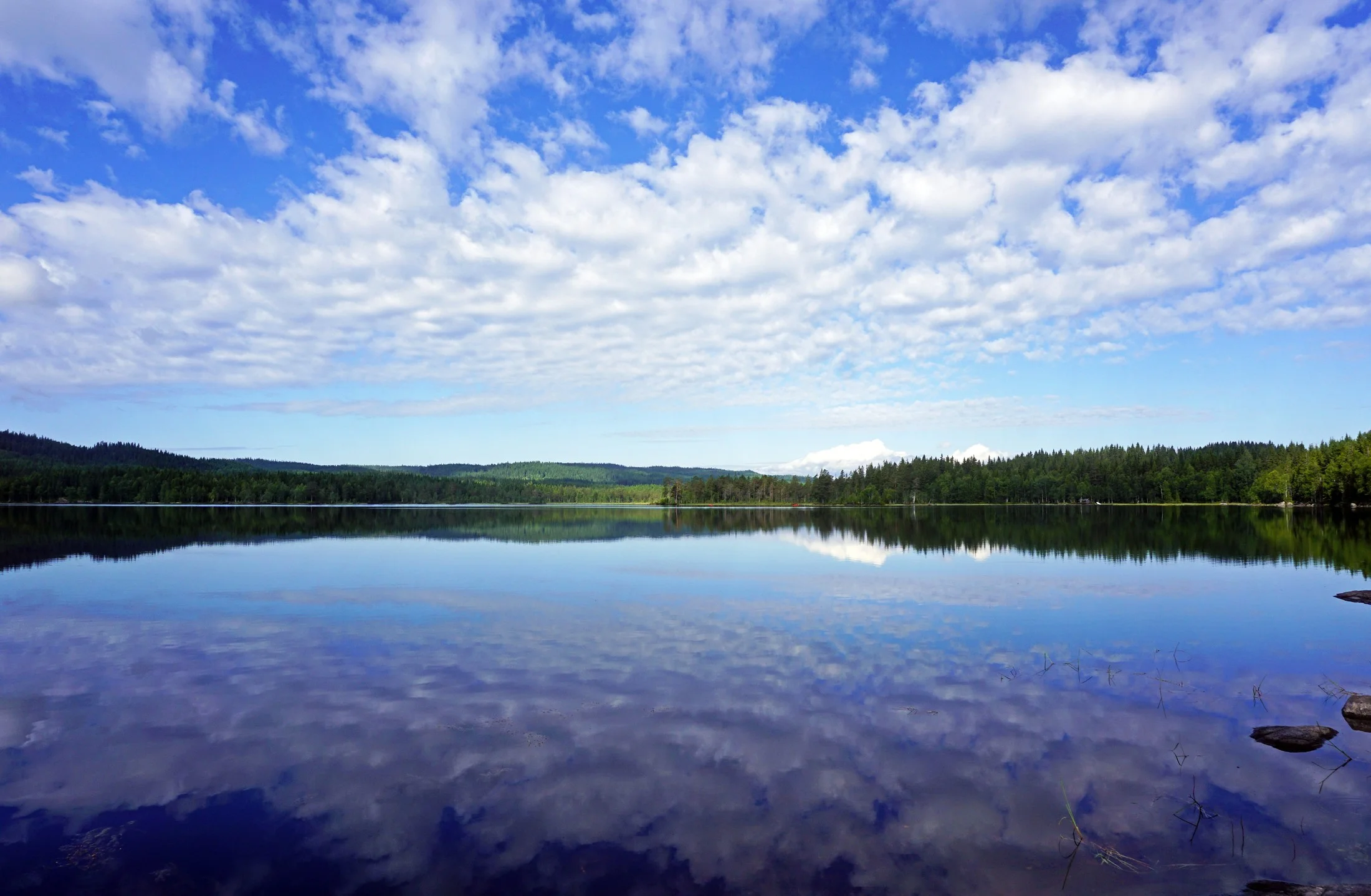 Lake Vesleflåtan (Photo: VisitOslo/Tord Baklund)