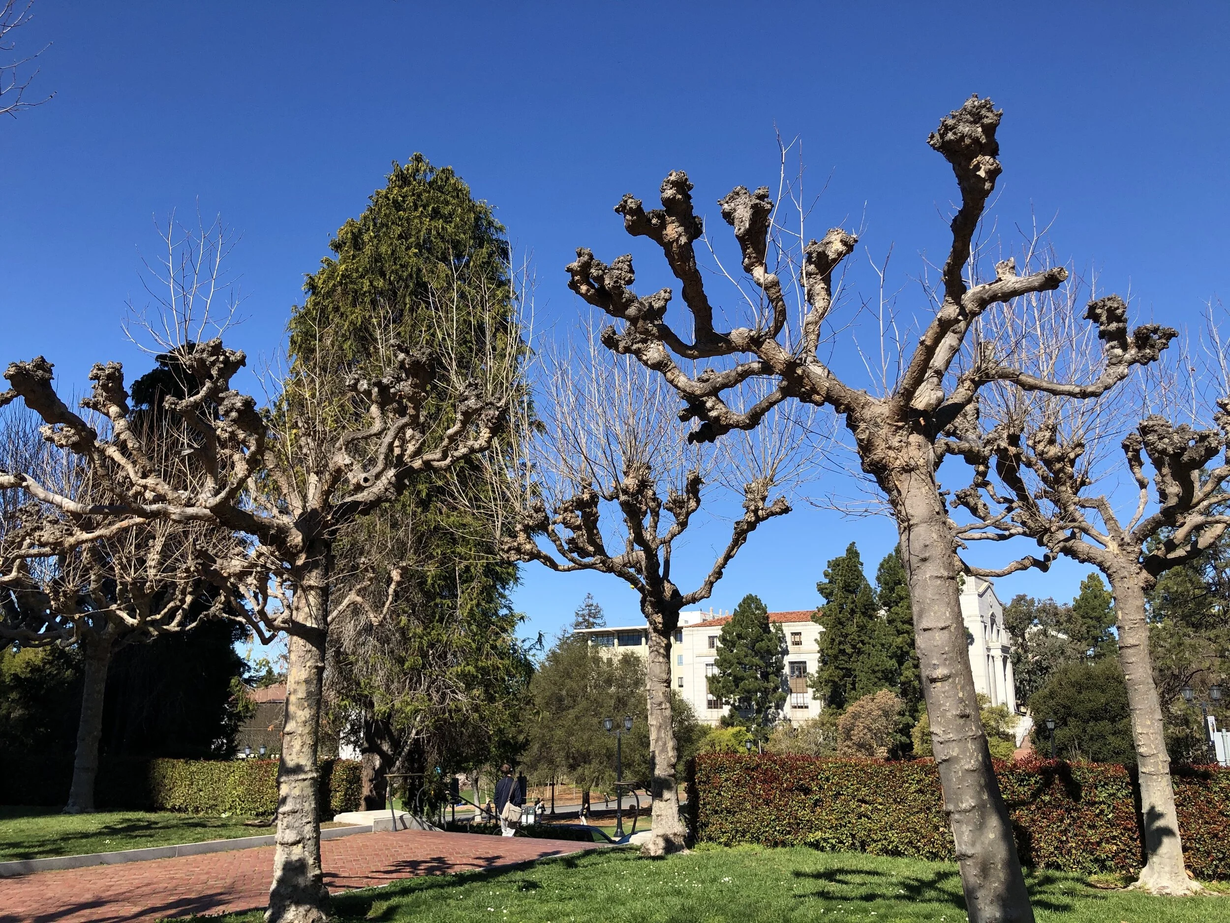 Berkley01.jpg