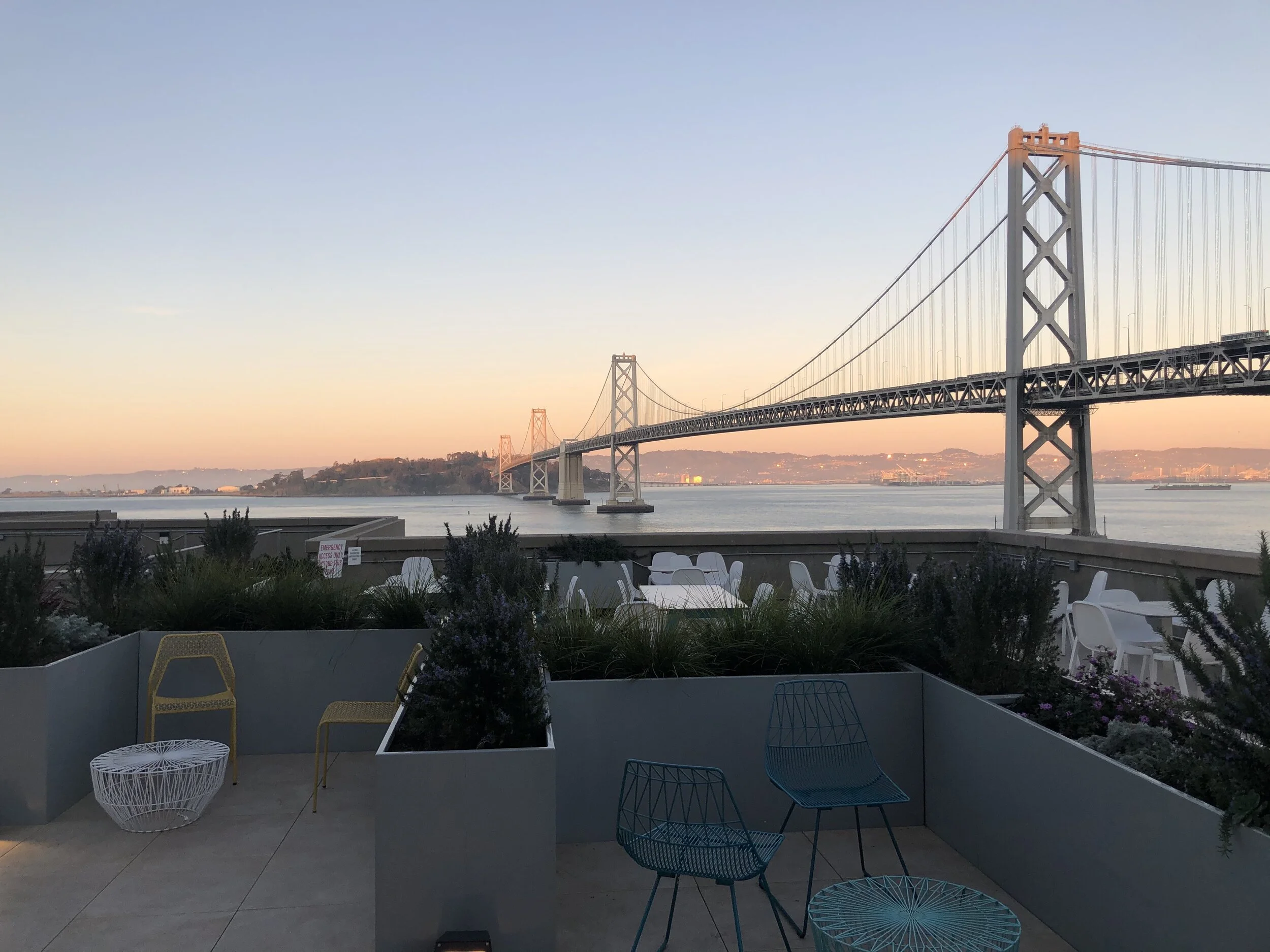 SF-Google00.jpg