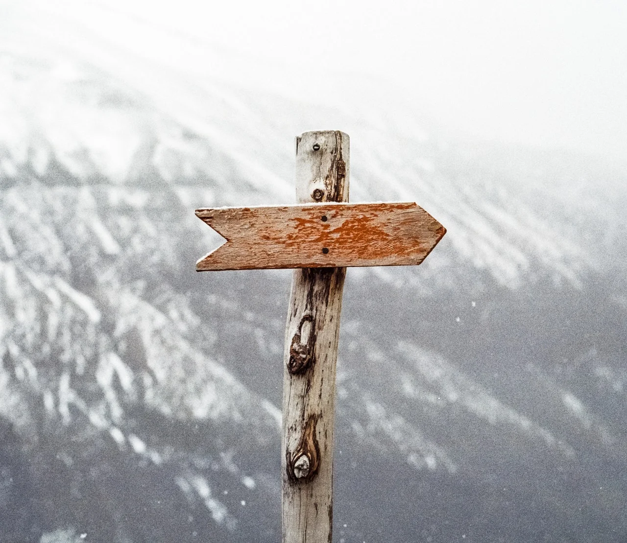 Image source: Pexels