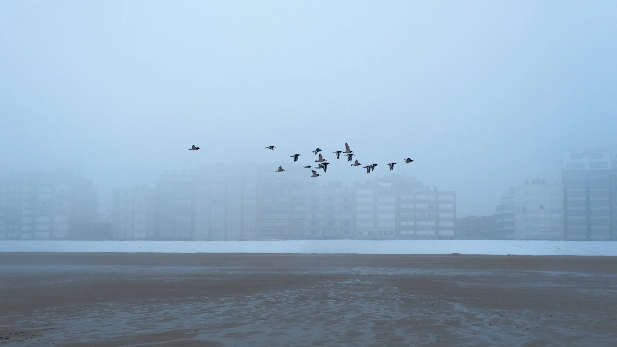 Image source: Pexels