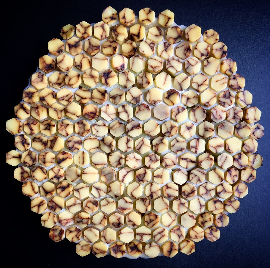  Date: March 12, 2018   Easy buzz it. 🐝| This weekend really gave me a run for my honey. I’m bee-t. But it’s the start to a new week and I’m here to cheese the day with this potato and caramelized onion tart honeycombed with&nbsp;   @traderjoes   &n