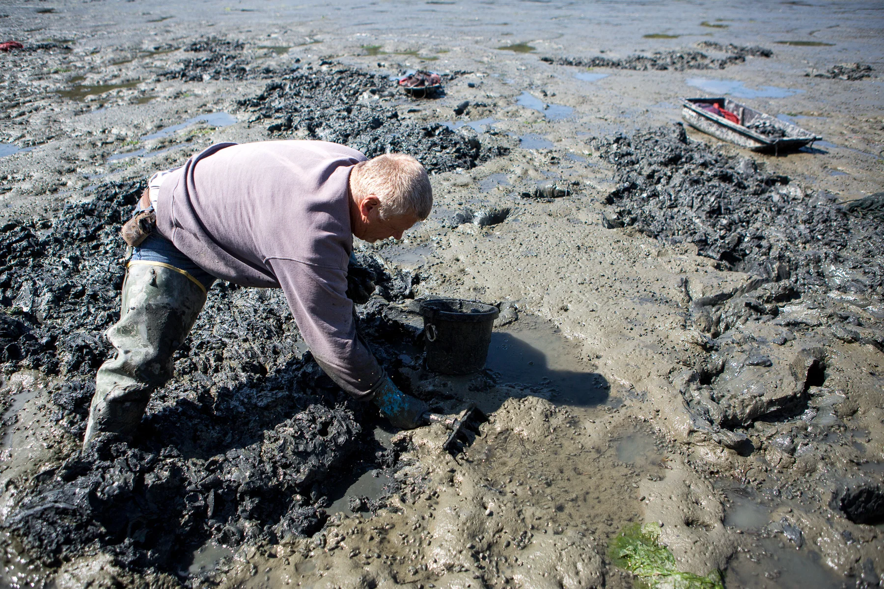 Clammers-090117-7.jpg