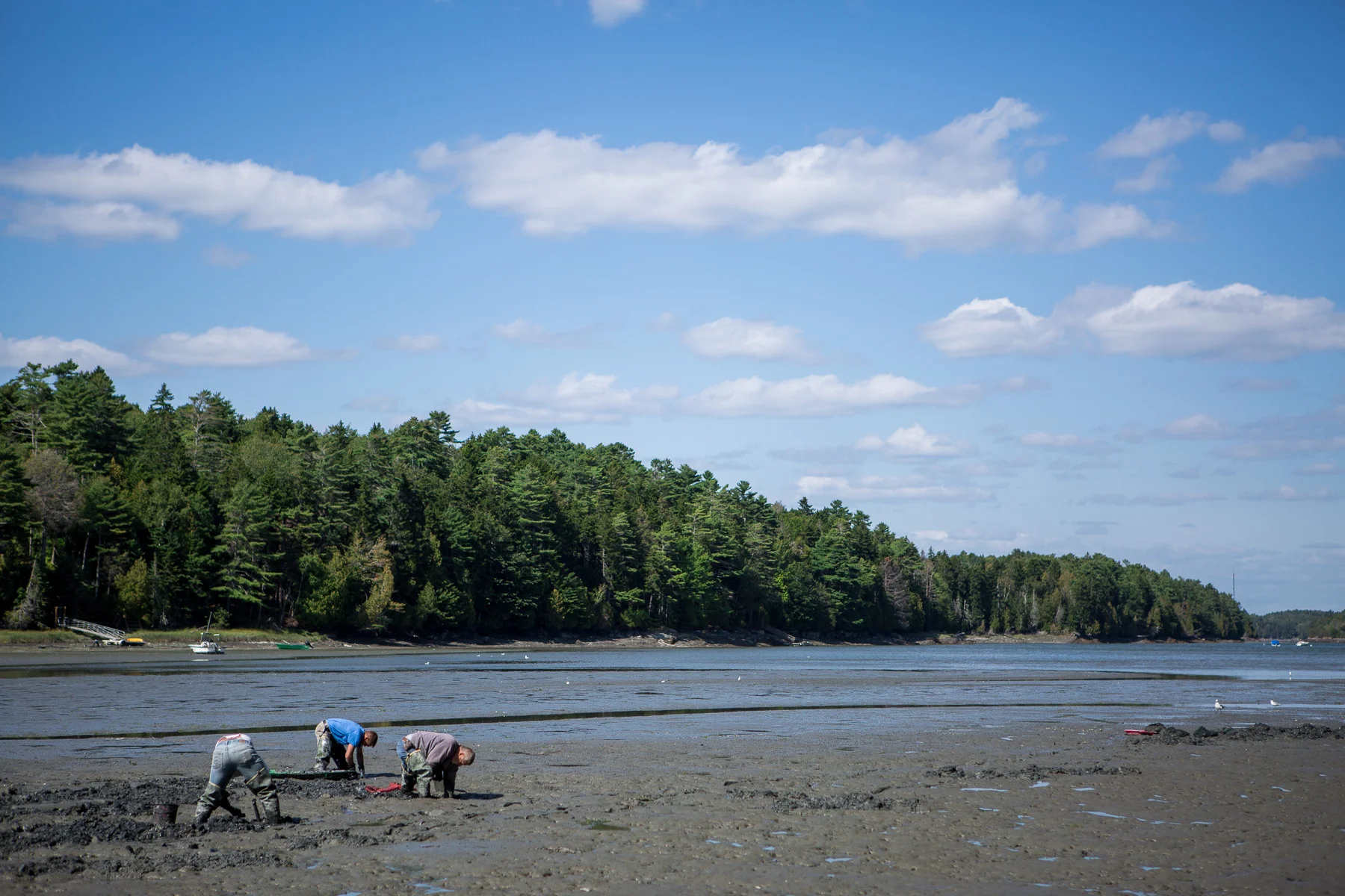 Clammers-090117-73.jpg
