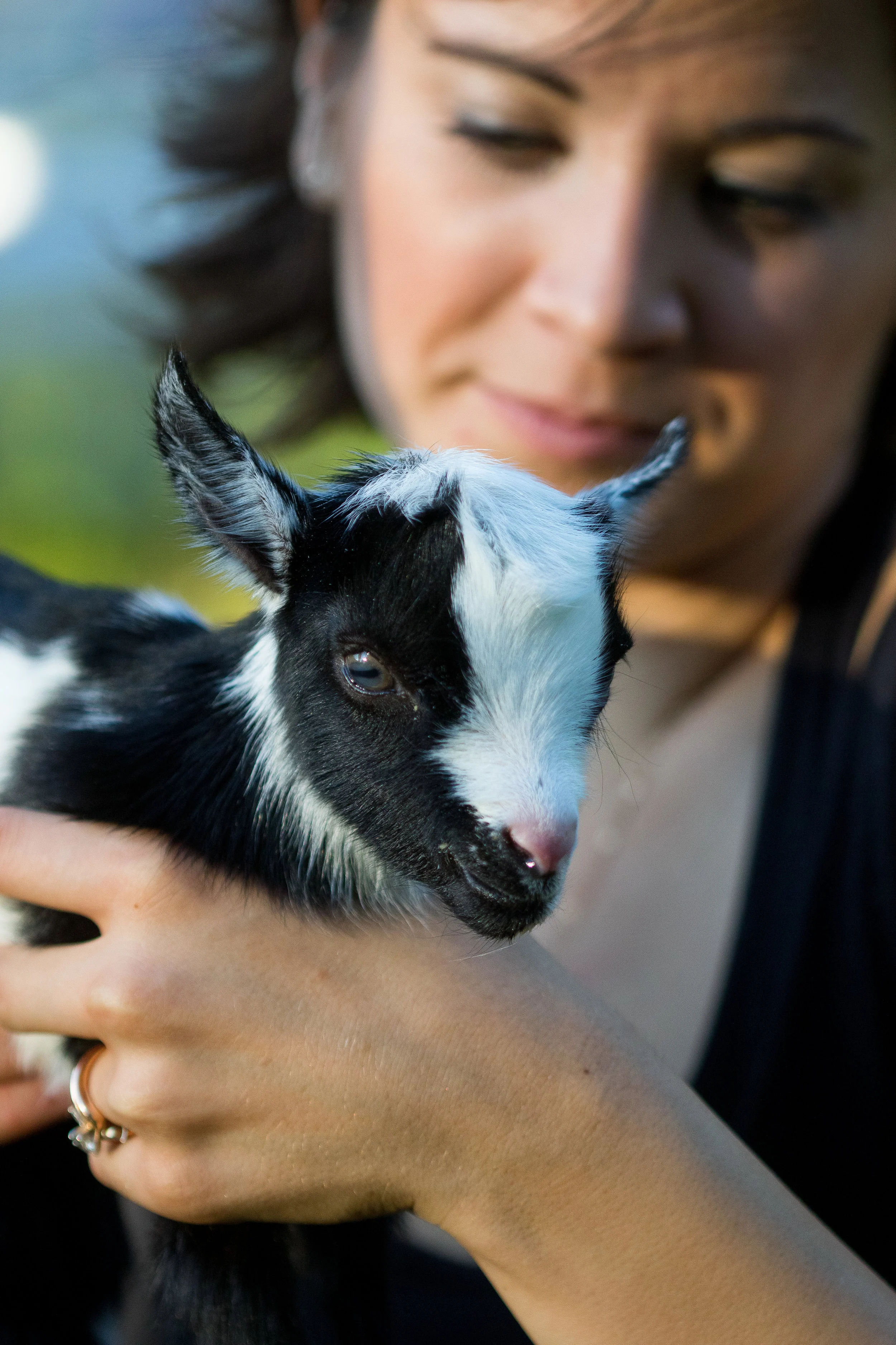 Goats_June_2016-56.jpg