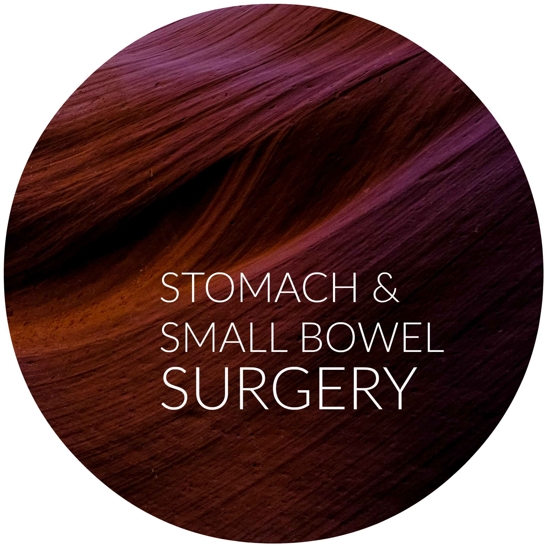 Stomach & Small Bowel Surgery