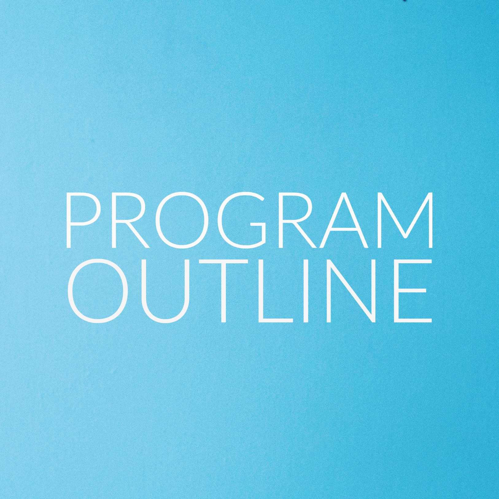 PROGRAM OUTLINE