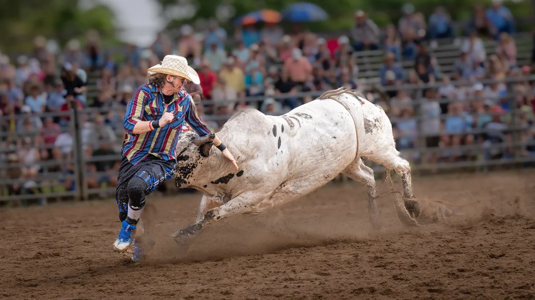 Not this Bull's First Rodeo