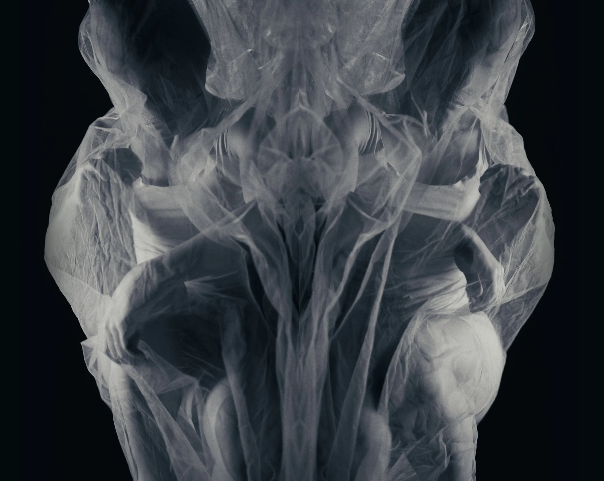 Silk mix.00_03_55_14.Still004.jpg