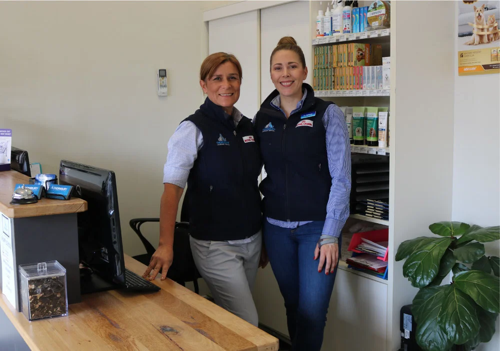 Worried about getting your pet to the vet during these times? Hello Video Consulting!