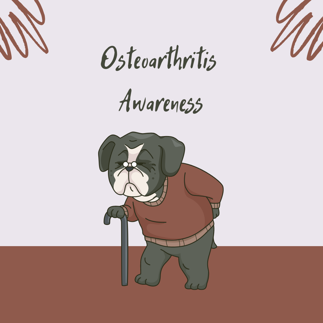 Osteoarthritis Awareness