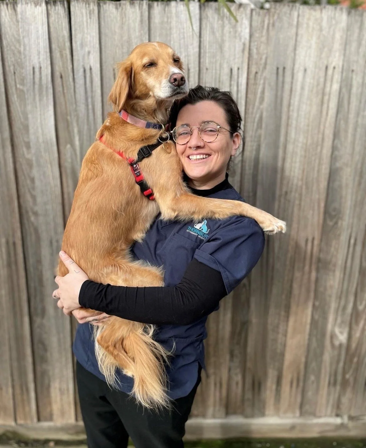 Behaviour Consultation — Thornbury Veterinary Hospital