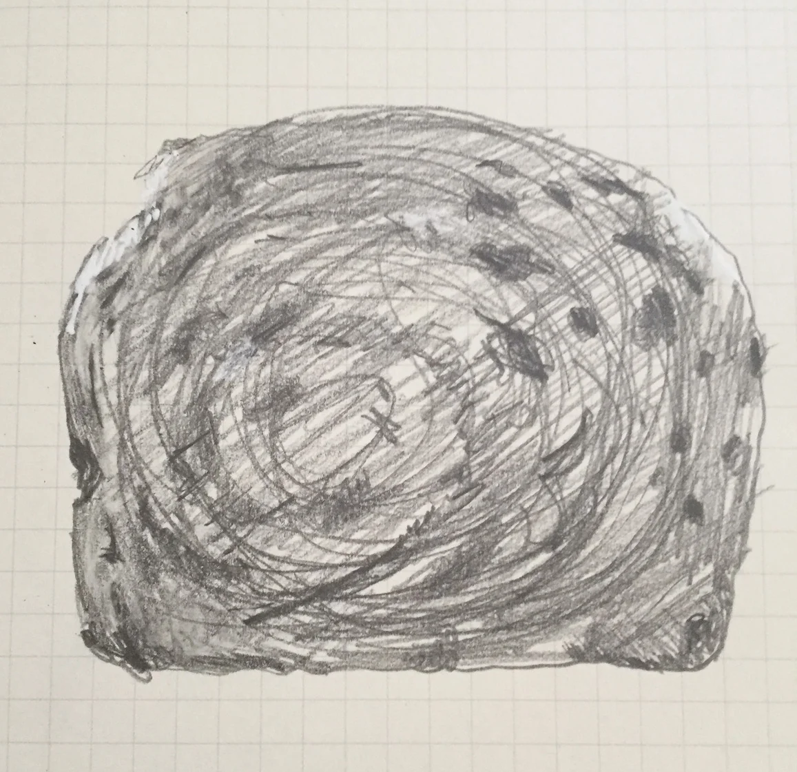 Raisin Bread Drawing