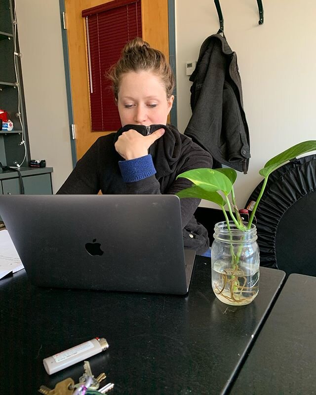 Quick Life update: @halie.bahr and I are surviving this semester thanks to our office candle and plant. @jr_does_things is a Mardi Gras angel and mailed me a king cake. Otis got a couch. I live in a snow globe.