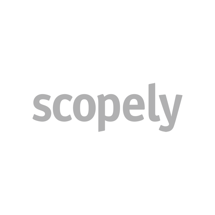 Evolution_Scopely.png