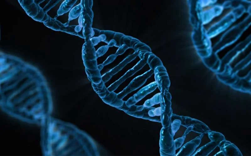 How to Create a Compelling Culture Code