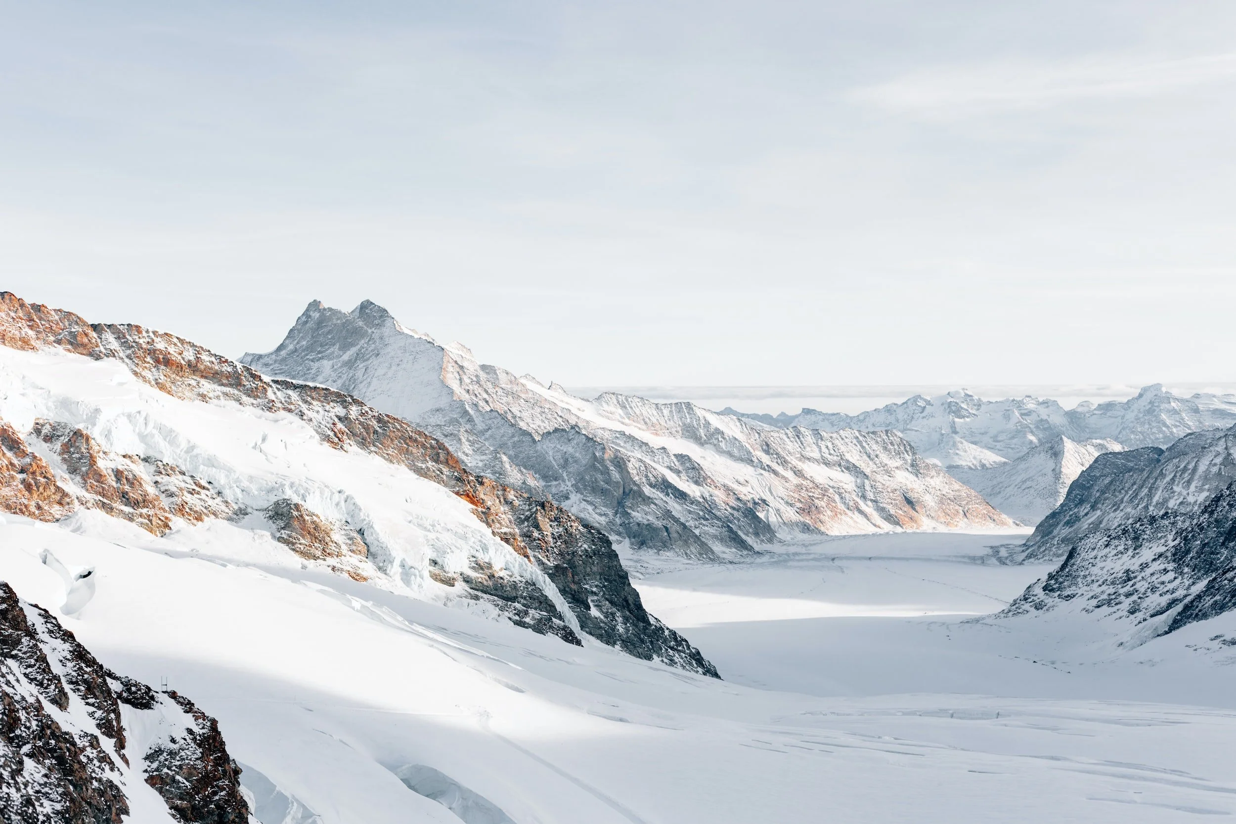 Walking the Walk: Evolution is Officially Climate Neutral!