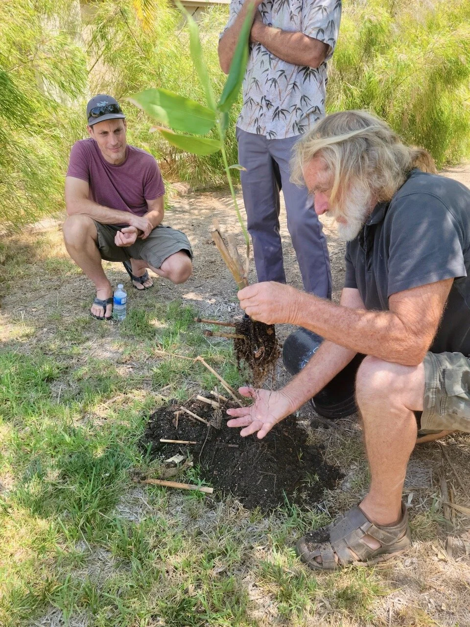 Propagating Bamboo like a Pro