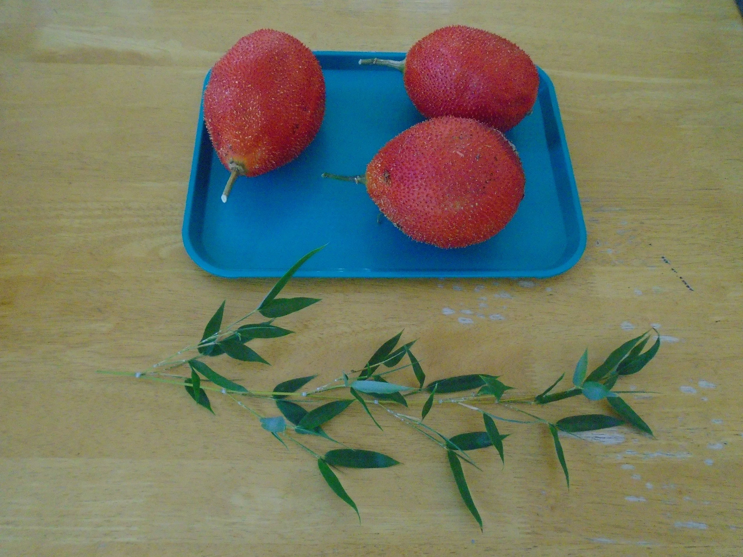 Cooking with Bamboo Shoots at Landy's