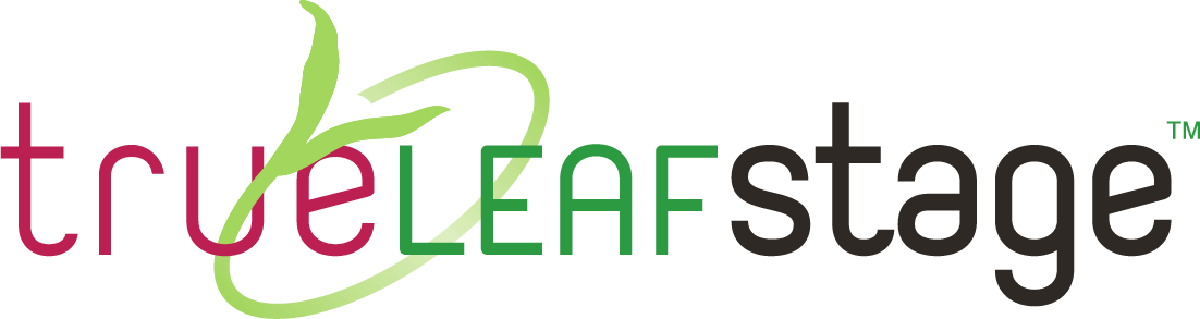 true leaf stage.png