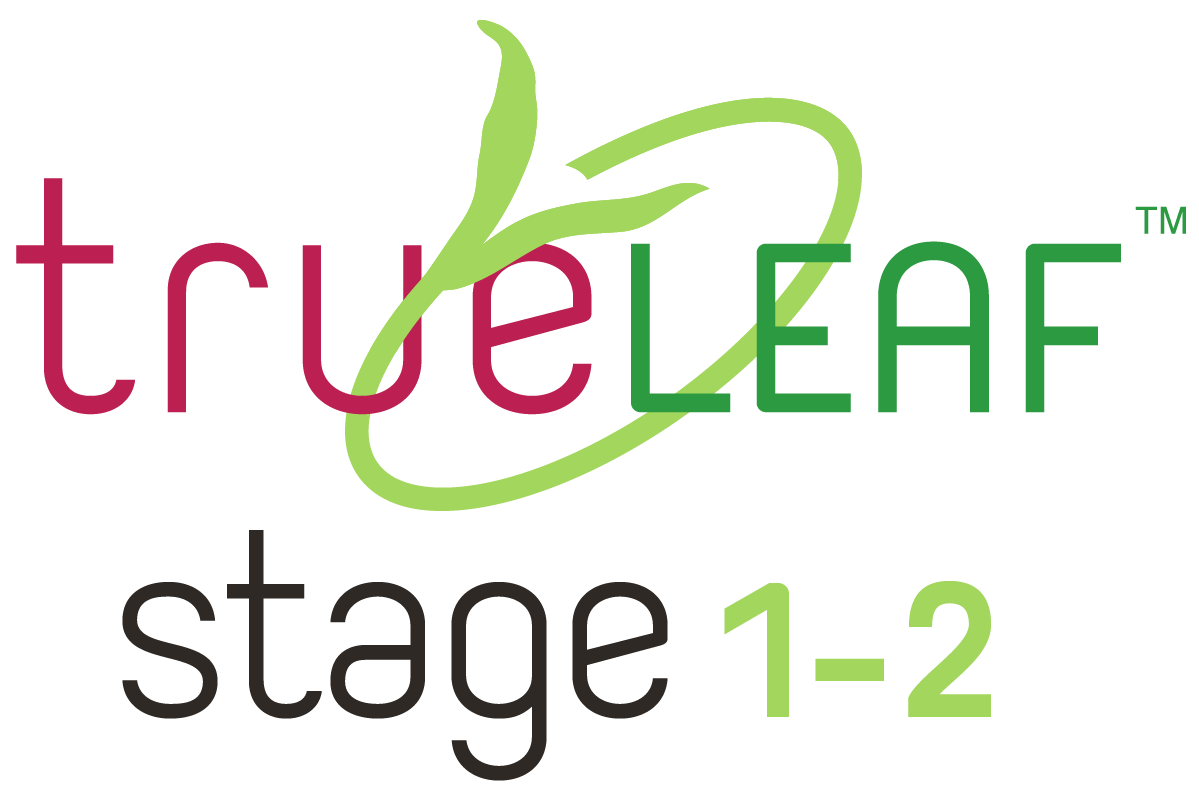 TRUE LEAF STAGE GRAPHICS-05.png