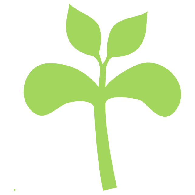 TRUE LEAF STAGE GRAPHICS-03.png