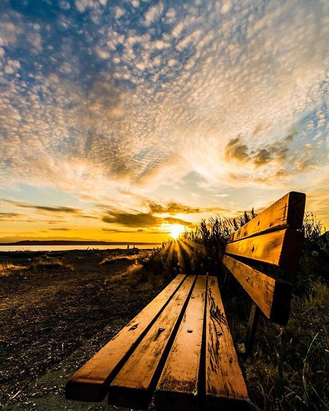 Tonight I had the pleasure of enjoying the company of an 85 year old fellow journeyer on my sunset watching bench. What joy. And how funny how similar we all are - truly - even across decades. It reminded me of my favorite quotes from a dear friend -