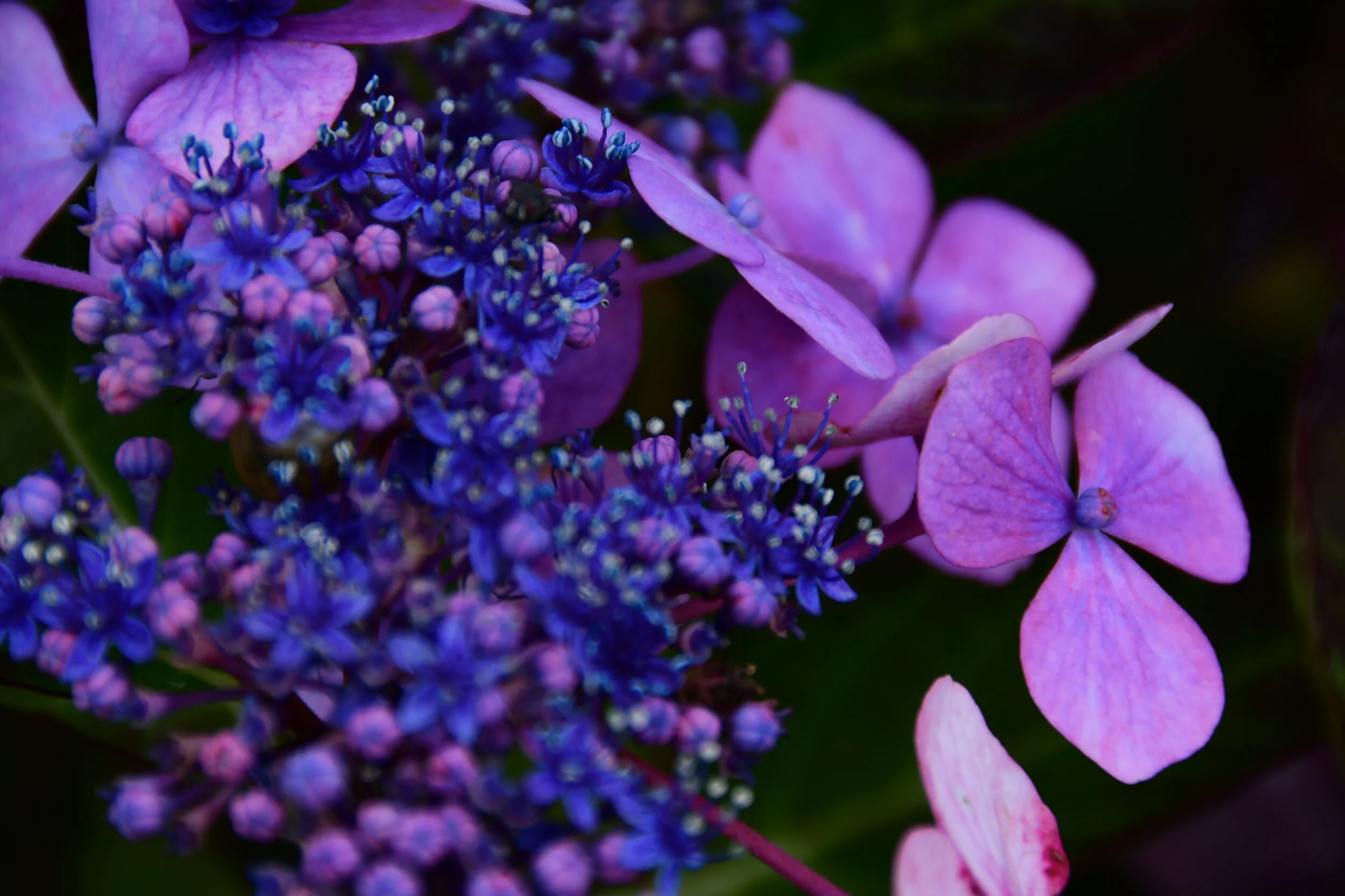 DDK_3017.JPG