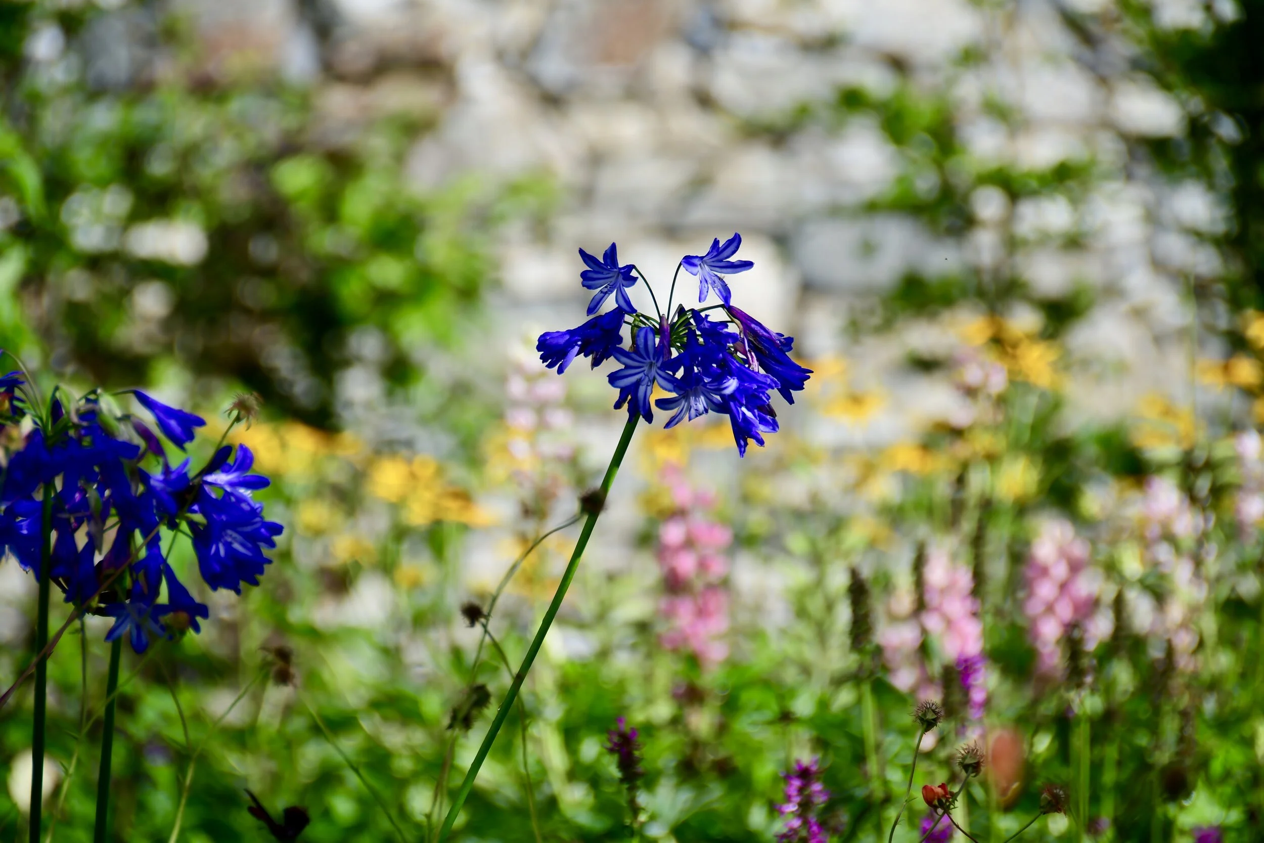 DDK_3106.JPG