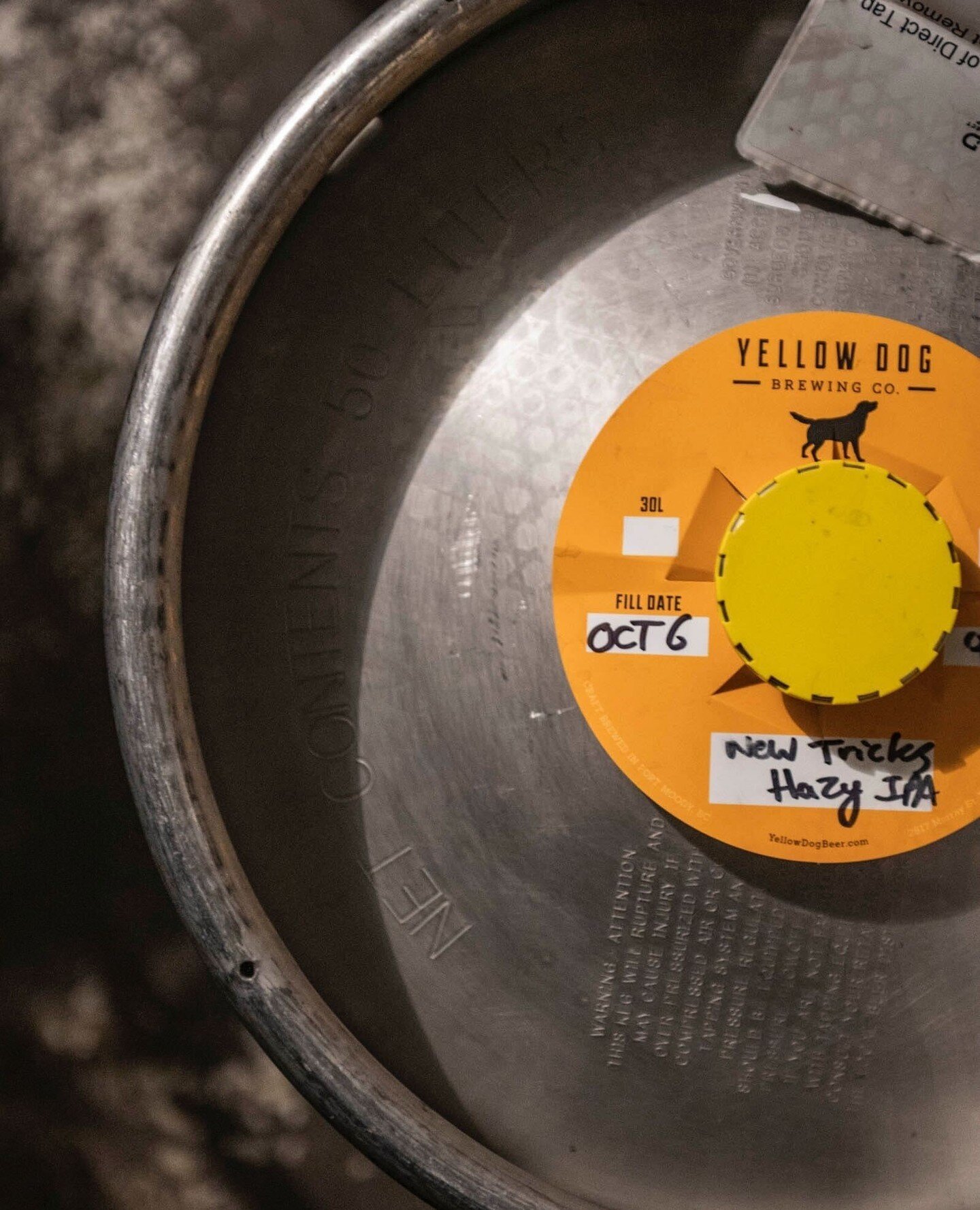 Oh no! Bartender Jordan dropped a keg of Yellow Dog&rsquo;s New Tricks Hazy IPA on his foot. Ouchie!⁠
⁠
To save others from a similar fate, we need you to help us drain this keg. We will not rest until this keg is empty and our staff are safe!⁠
⁠
As 