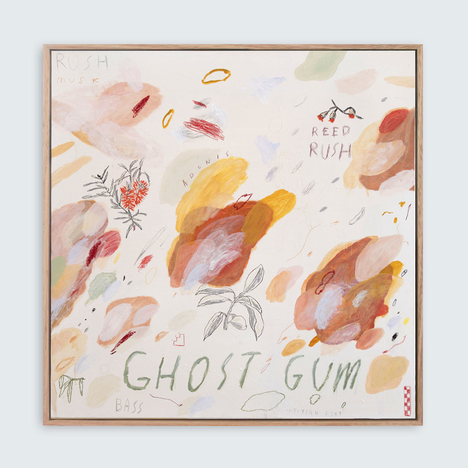 Ghost Gum