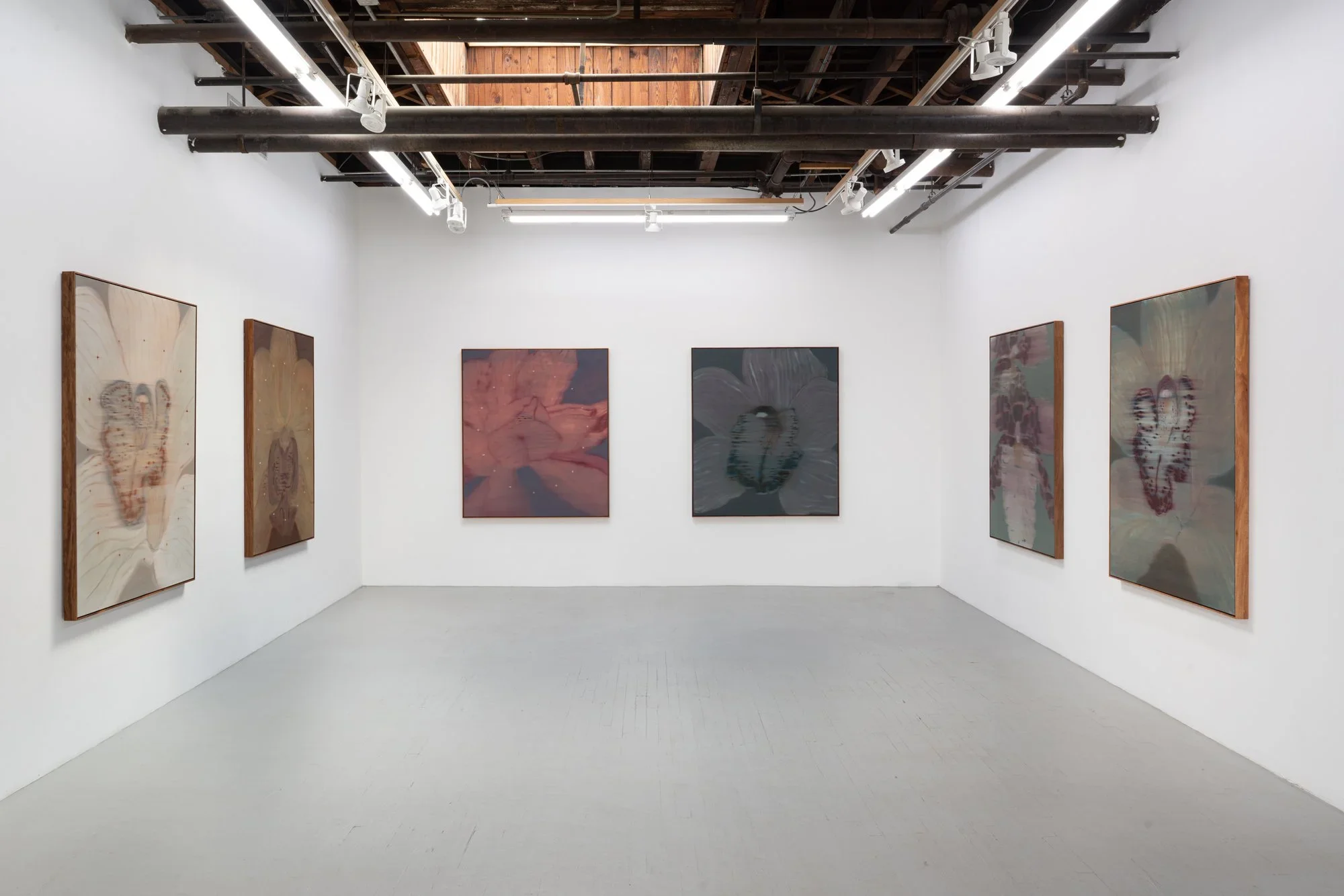 Mineral Meridian at Carvalho New York 