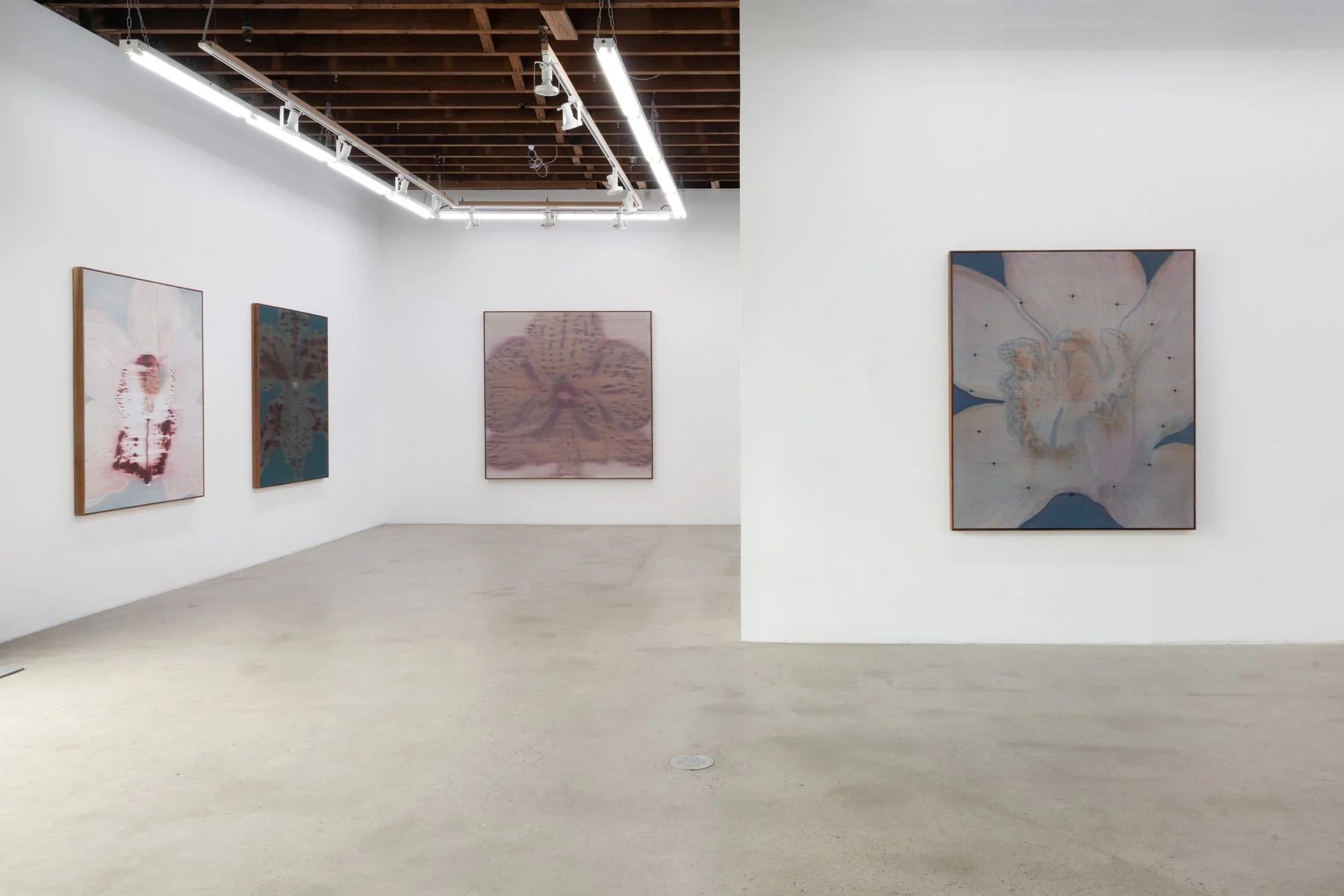 Mineral Meridian at Carvalho New York 