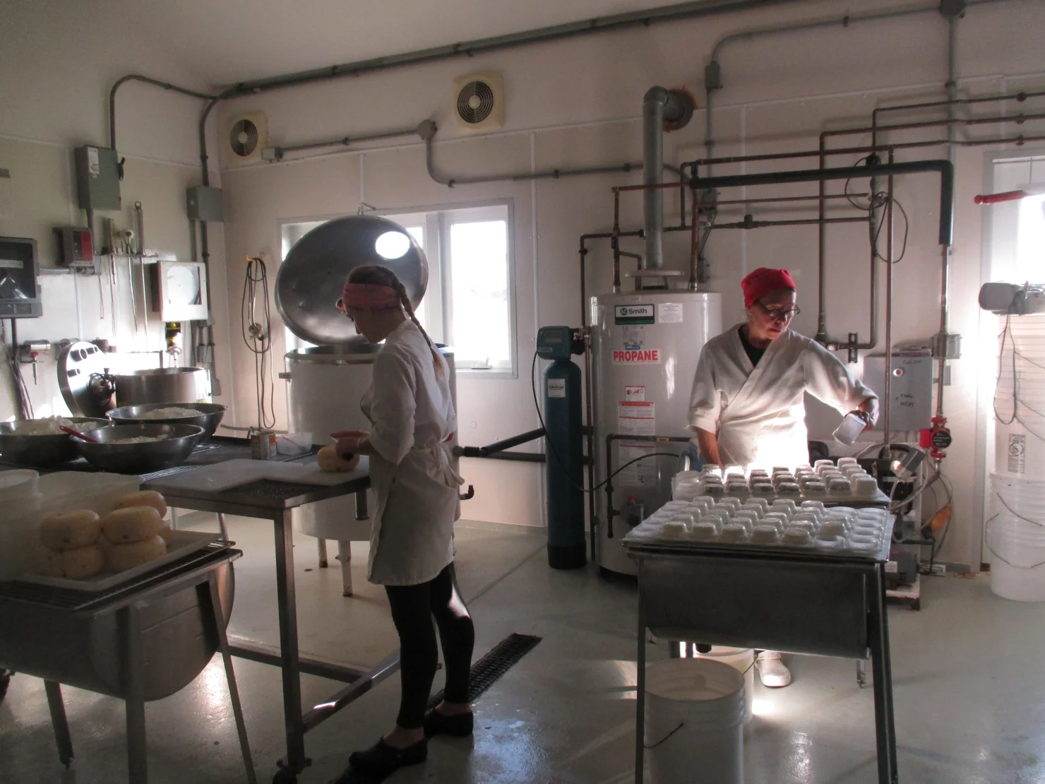 Alicia (left) and Diana (right) work to process and package their products in the Cheeserie. Photo by Rebecca Radix.
