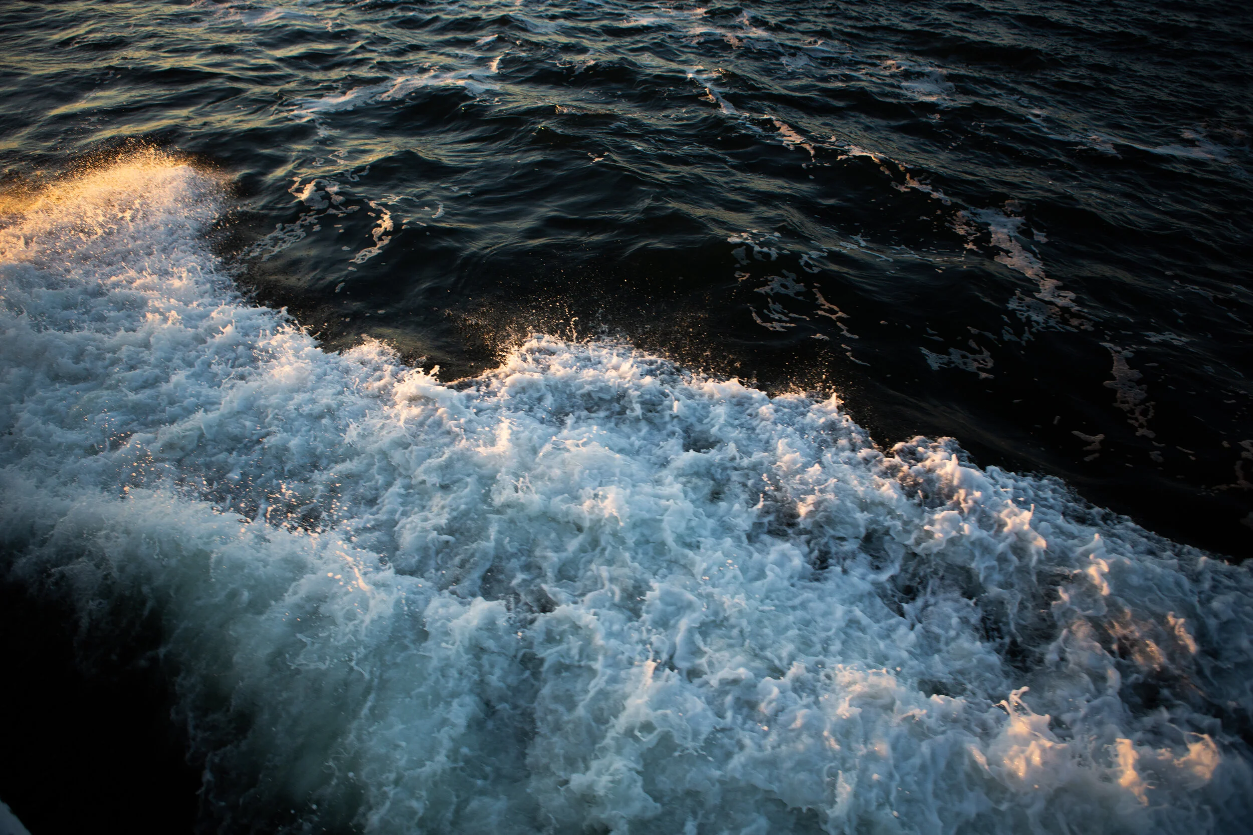 TWAC_FireIsland-1.jpg
