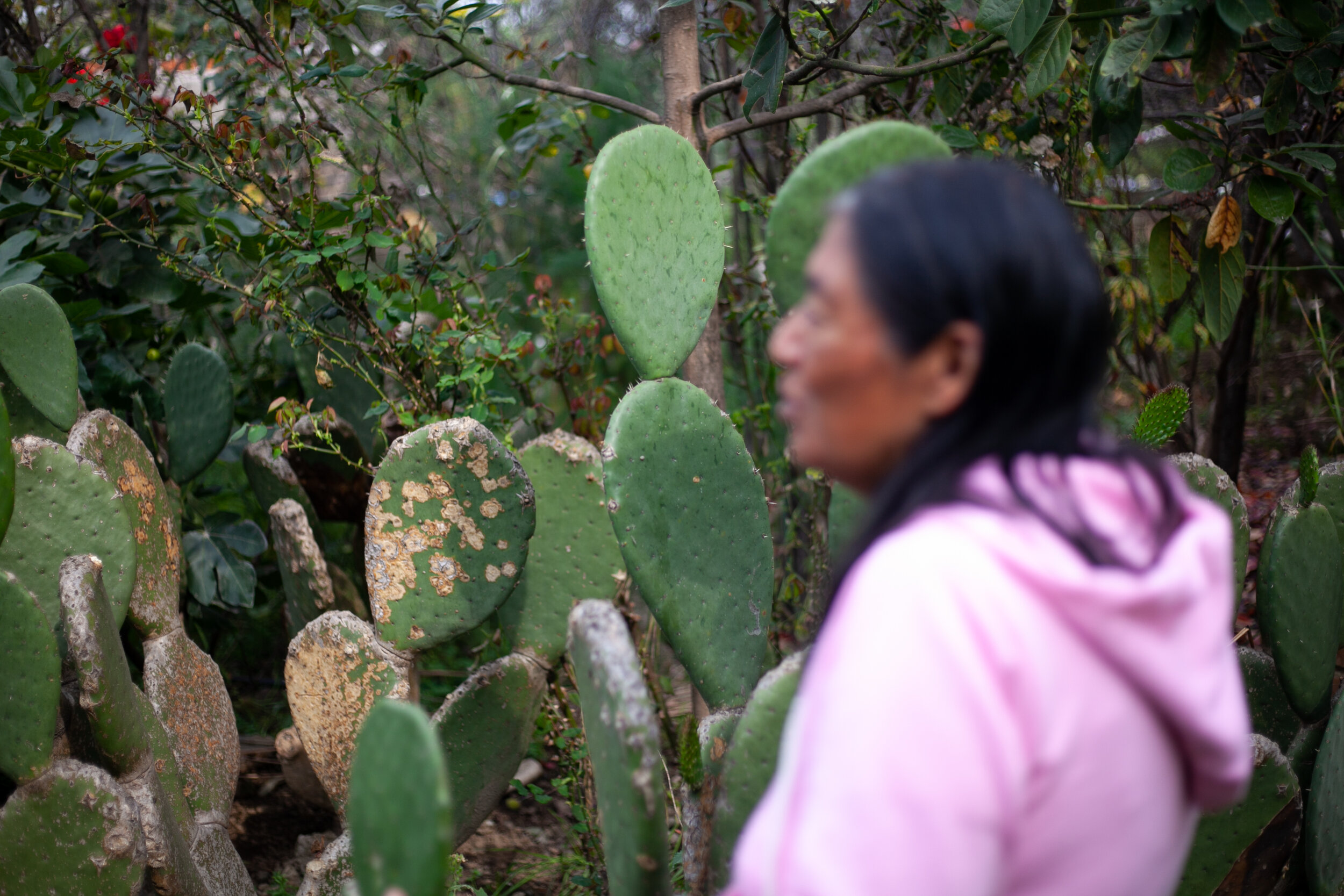 Elena stands in front of the patch of plants watered by her greywater filter system.