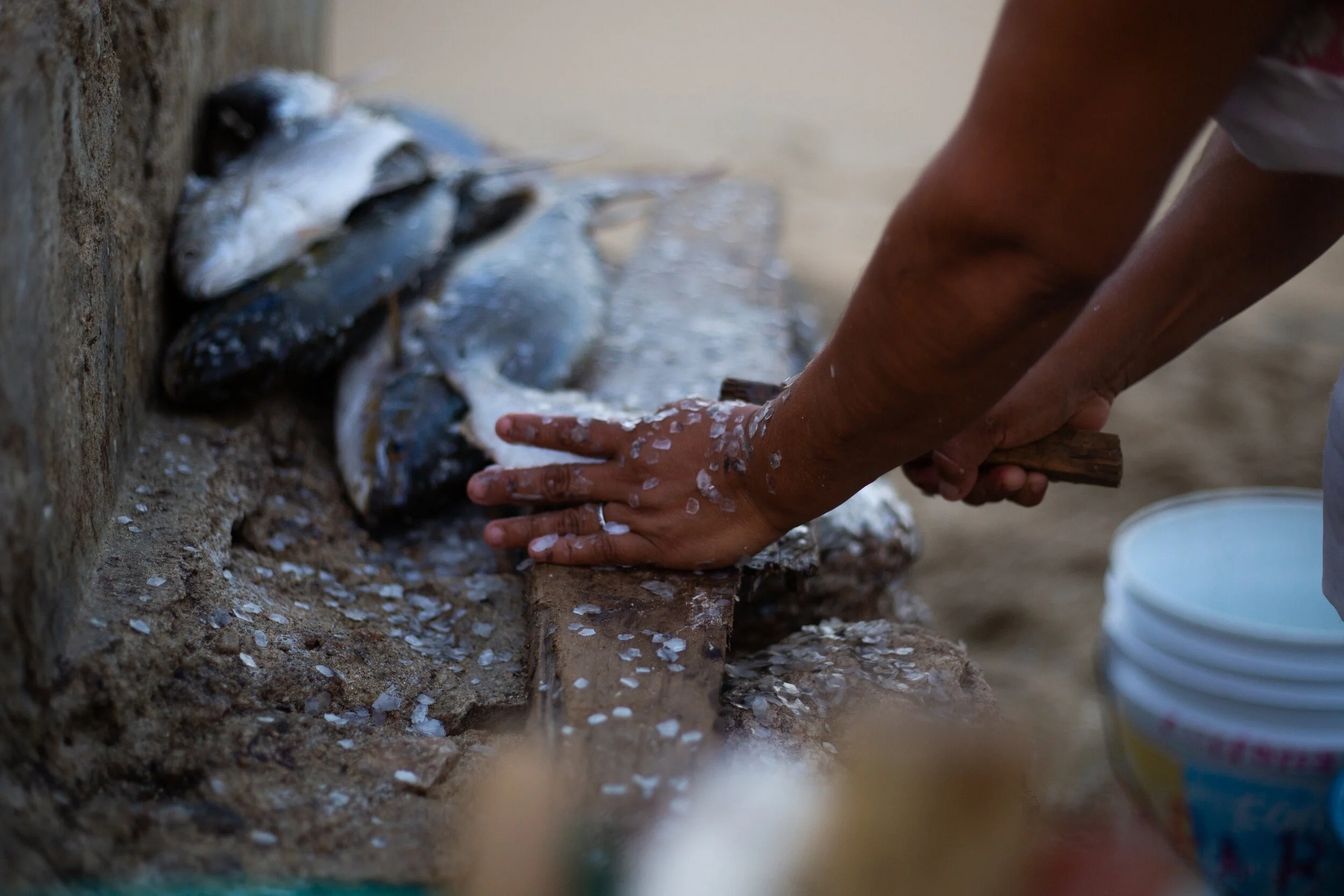 Each family received one bag of produce filled with bananas, carrots, potatoes, green tomatoes, peppers onions and more.