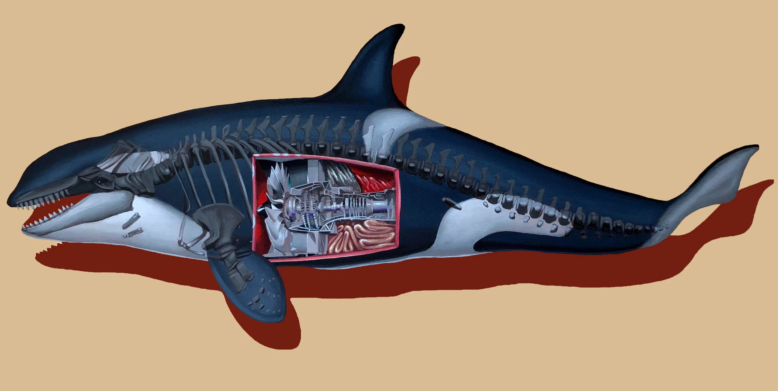 Apex-Predator-Robert-Bowen.jpg