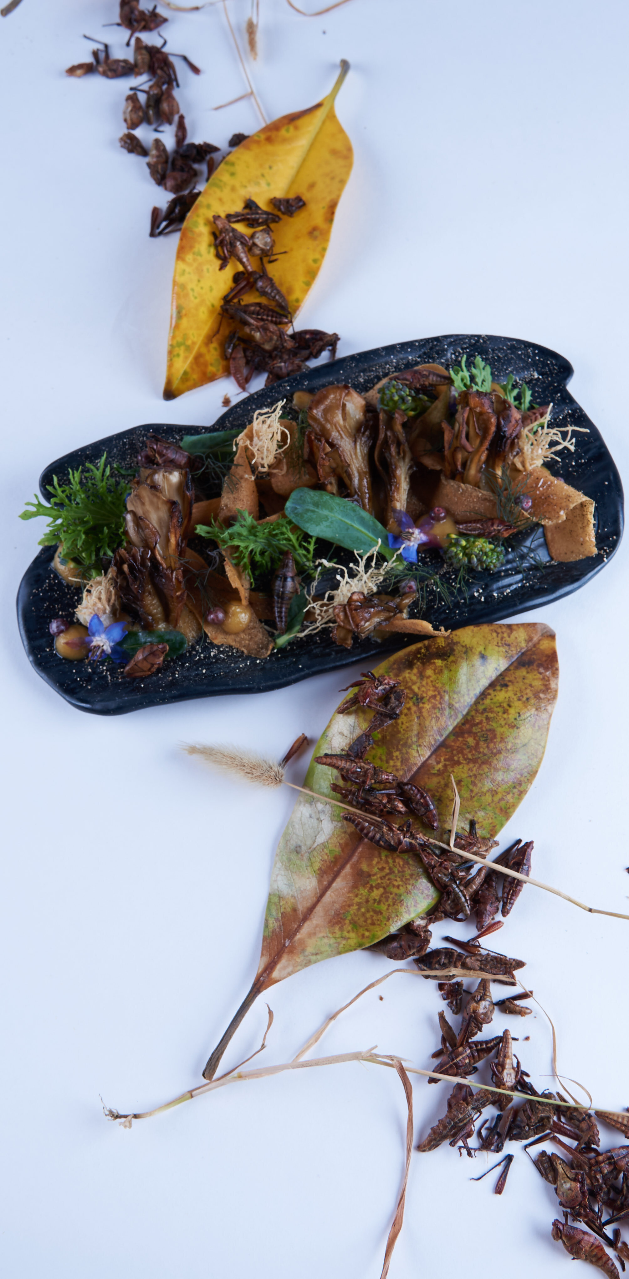 Dinner Series Menu 21146.jpg