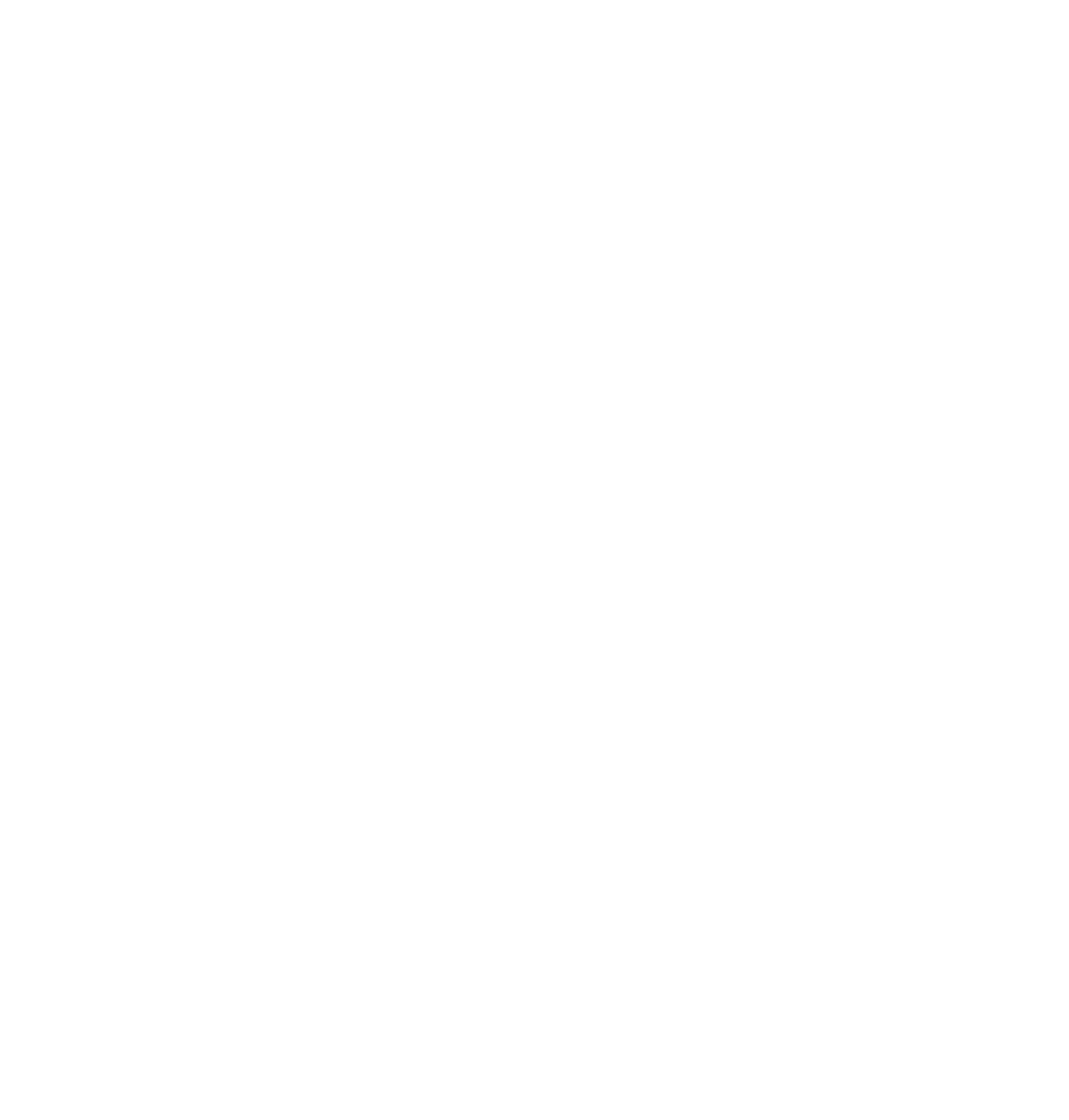 Distraction Brewing Company