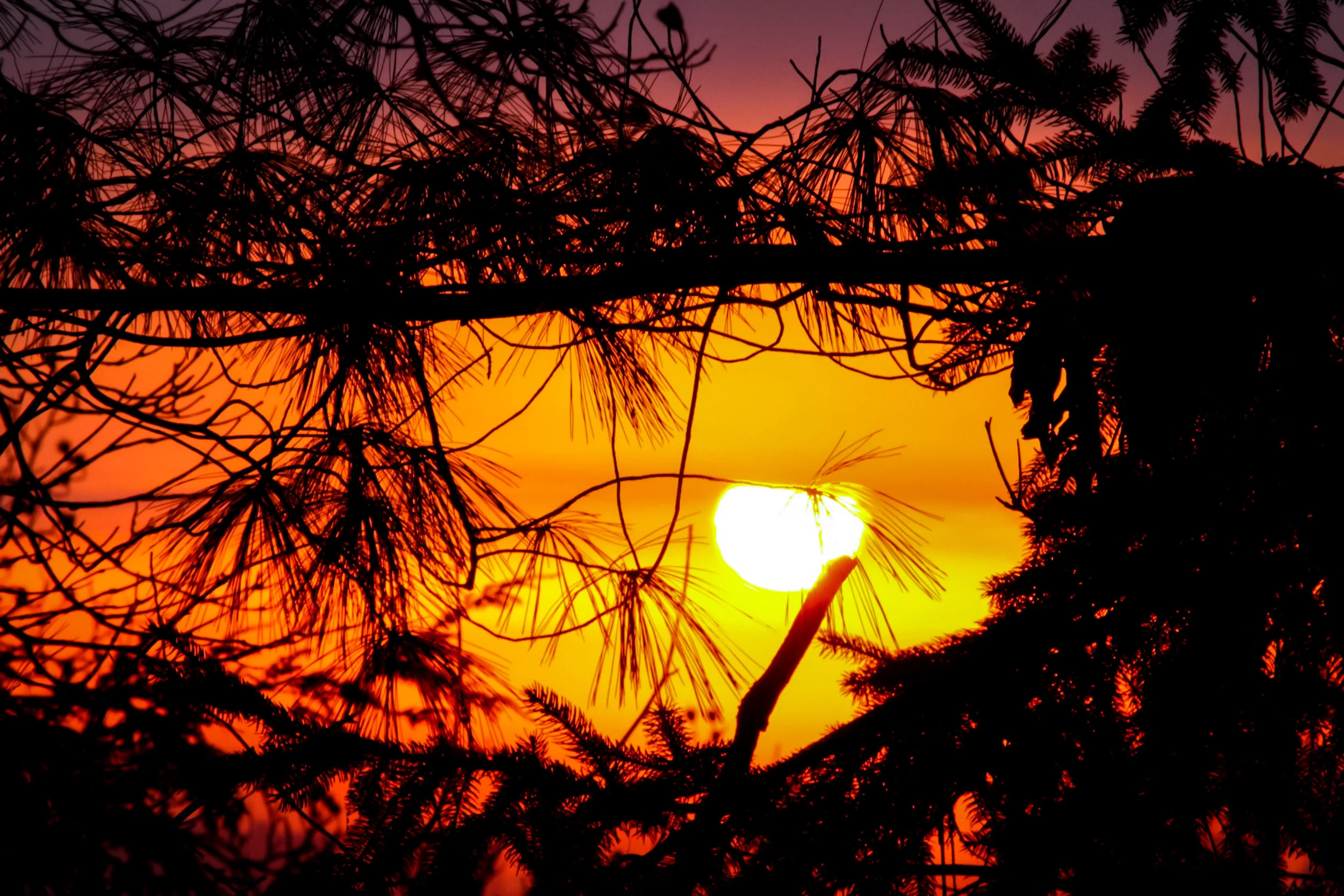 Rise and Shine