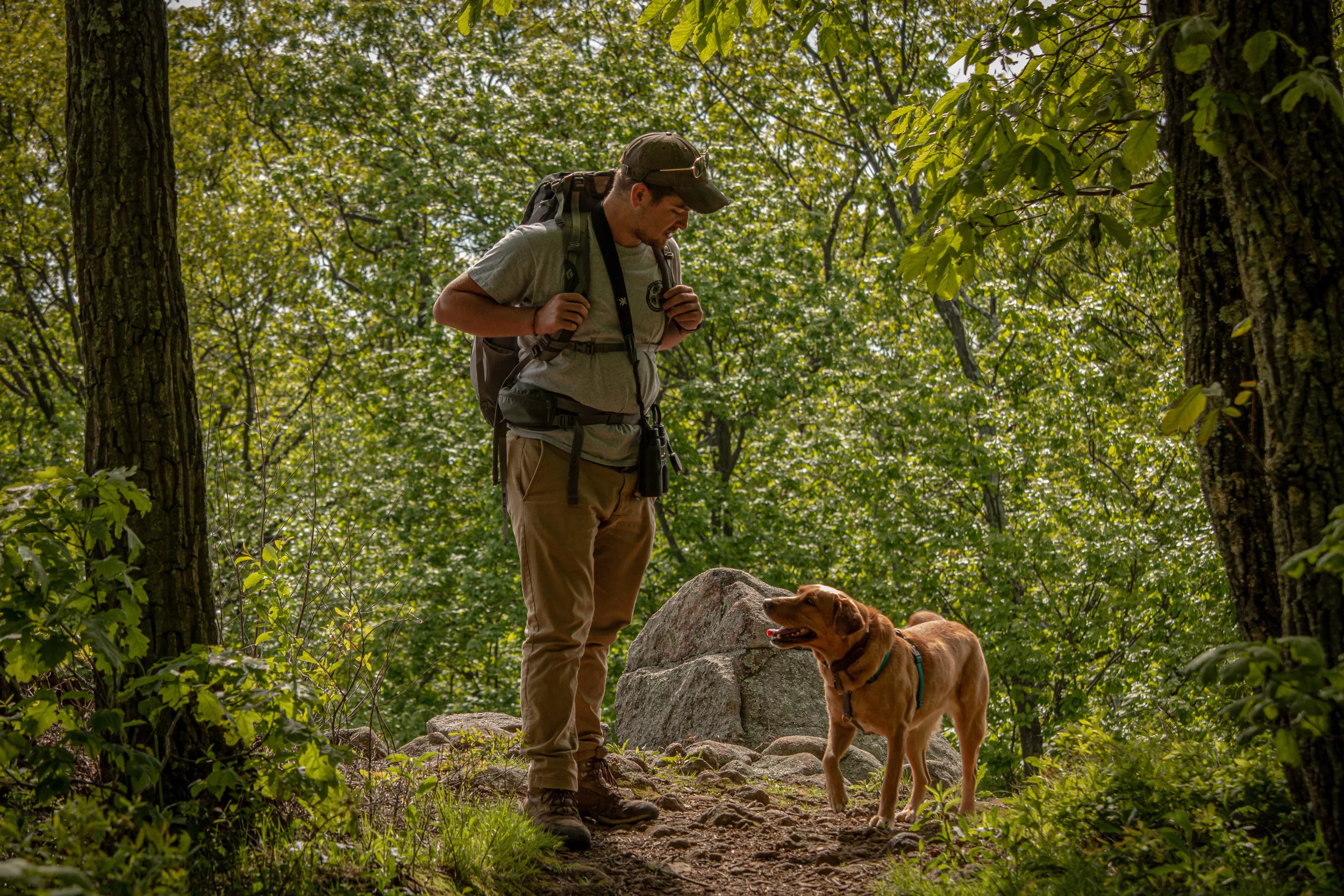 Man's Best Friend