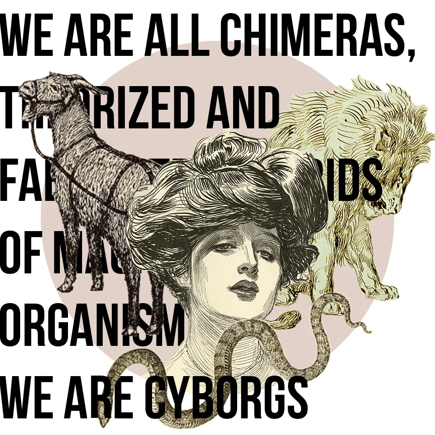chimera1.jpg